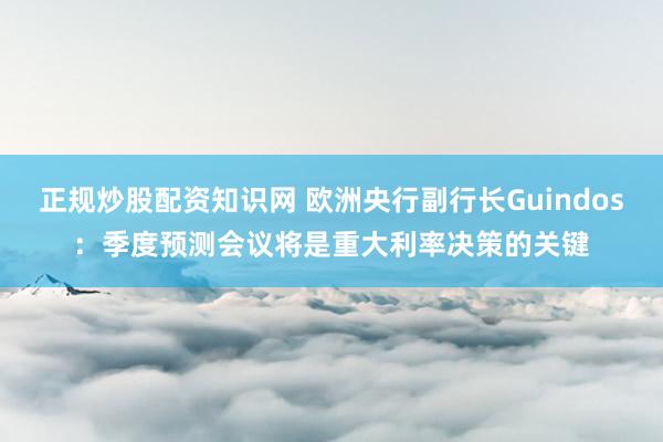 正规炒股配资知识网 欧洲央行副行长Guindos：季度预测会议将是重大利率决策的关键