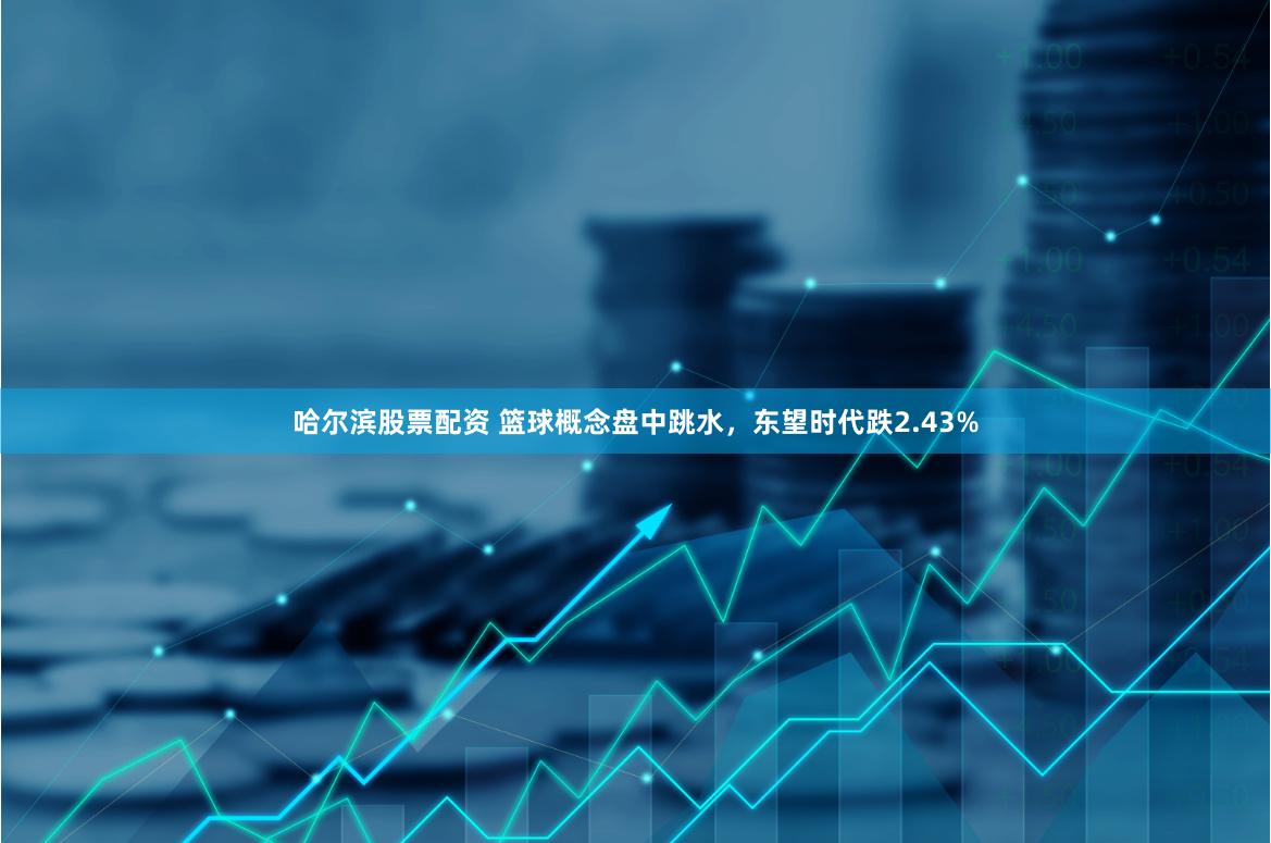 哈尔滨股票配资 篮球概念盘中跳水，东望时代跌2.43%